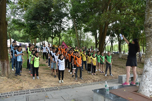 精致展示 精致展示