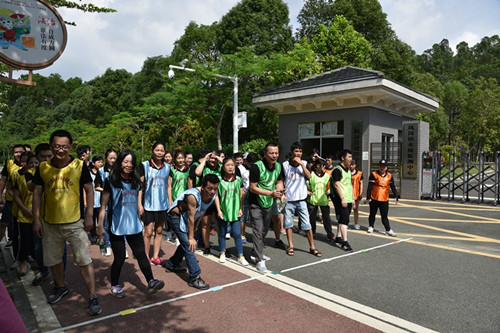 精致展示 精致展示