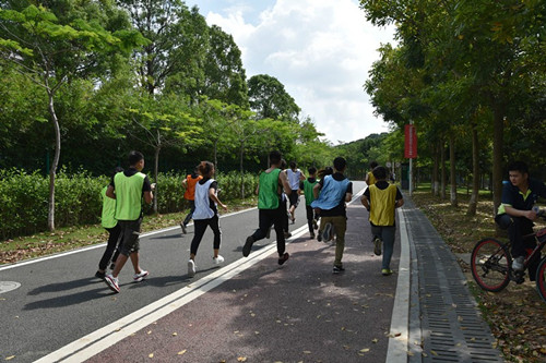 精致展示 精致展示